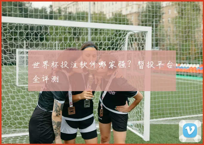世界杯投注软件哪家强？暂投平台全评测