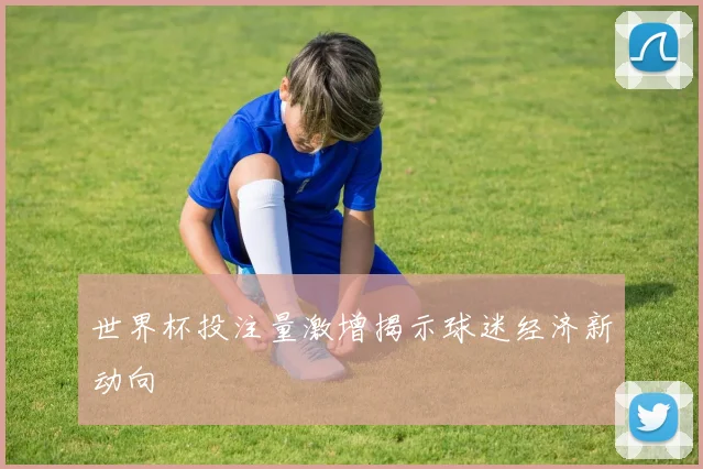 世界杯投注量激增揭示球迷经济新动向