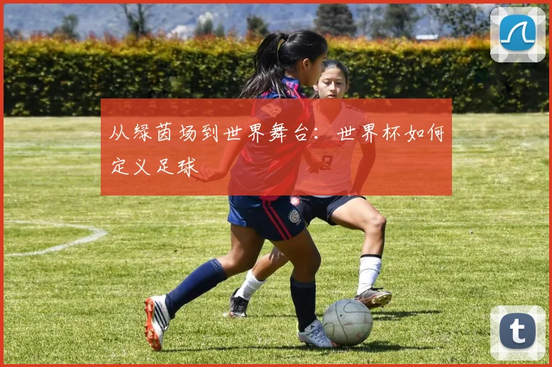 从绿茵场到世界舞台：世界杯如何定义足球