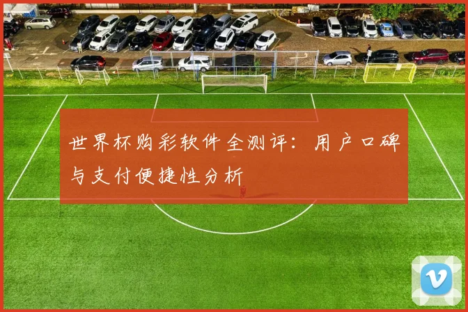 世界杯购彩软件全测评：用户口碑与支付便捷性分析